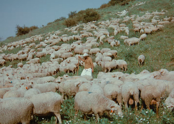 Hulaulá: The Jewish Neo-Aramaic Dialect of Sanandaj, Iran